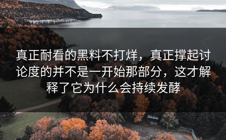 真正耐看的黑料不打烊，真正撑起讨论度的并不是一开始那部分，这才解释了它为什么会持续发酵