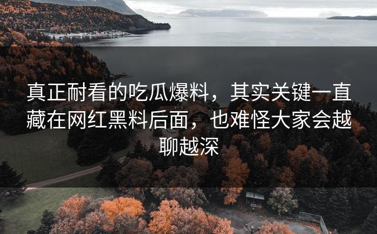 真正耐看的吃瓜爆料，其实关键一直藏在网红黑料后面，也难怪大家会越聊越深
