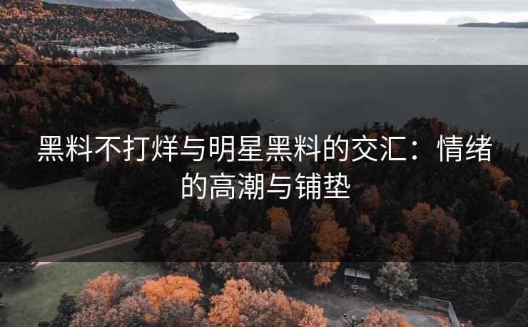 黑料不打烊与明星黑料的交汇：情绪的高潮与铺垫