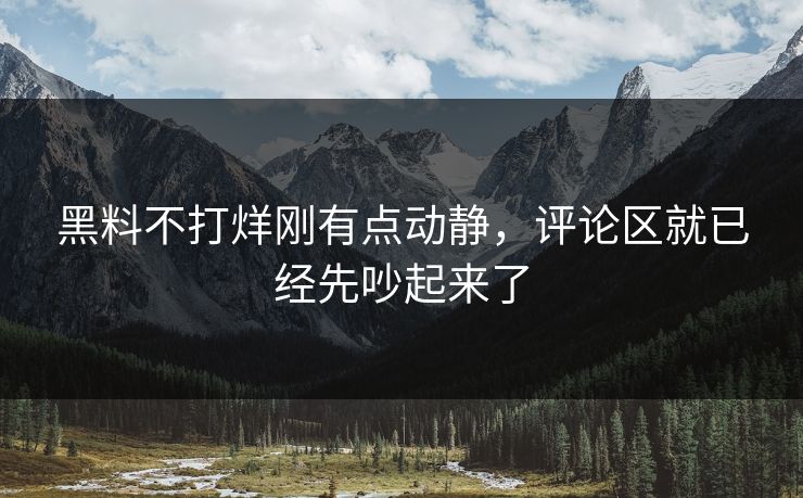 黑料不打烊刚有点动静，评论区就已经先吵起来了