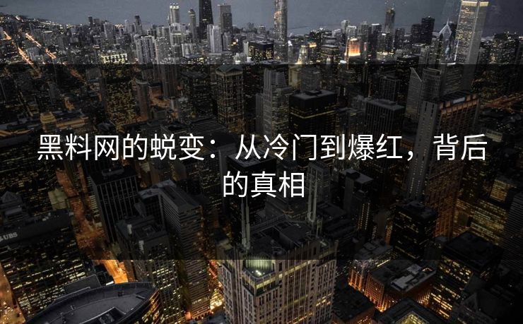 黑料网的蜕变:从冷门到爆红,背后的真相