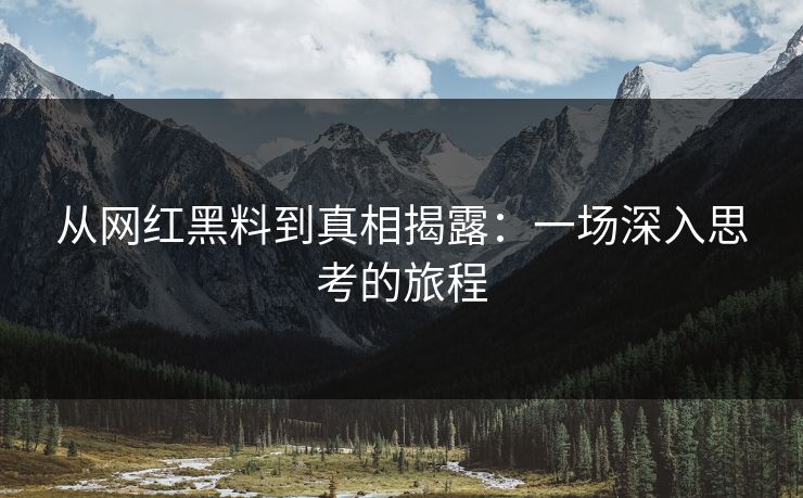 从网红黑料到真相揭露：一场深入思考的旅程