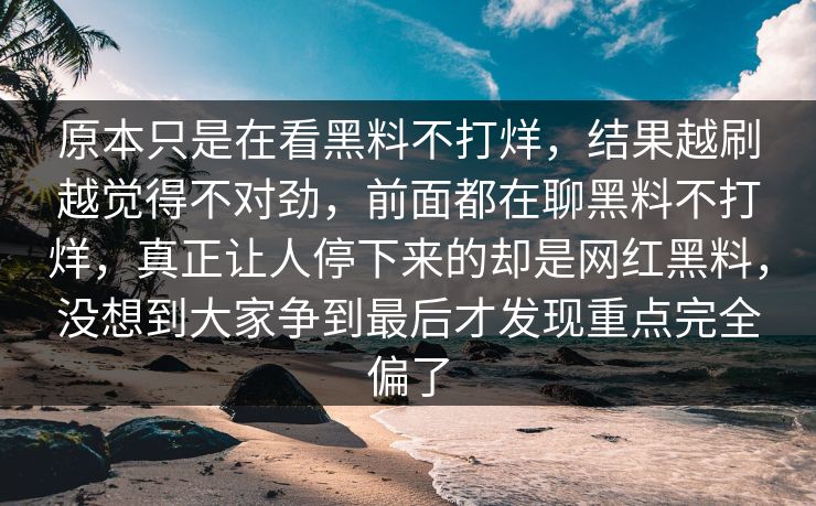原本只是在看黑料不打烊,结果越刷越觉得不对劲,前面都在聊黑料不打烊,真正让人停下来的却是网红黑料,没想到大家争到最后才发现重点完全偏了