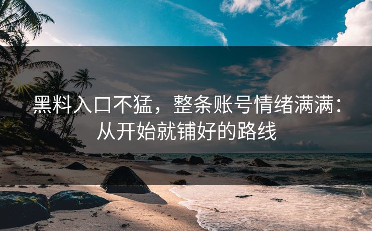 黑料入口不猛,整条账号情绪满满:从开始就铺好的路线