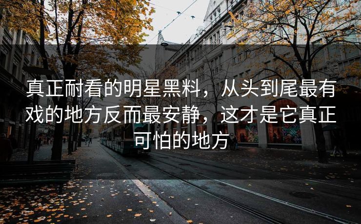 真正耐看的明星黑料,从头到尾最有戏的地方反而最安静,这才是它真正可怕的地方